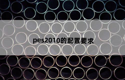 pes2010的配置要求