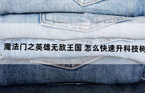 魔法门之英雄无敌:王国 怎么快速升科技树