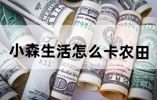 小森生活怎么卡农田