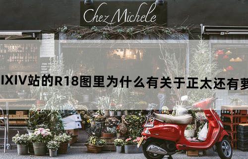 在PIXIV站的R-18图里为什么有关于正太还有萝莉的