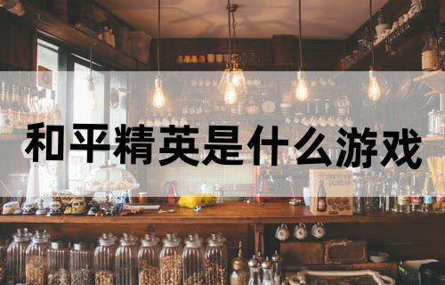 和平精英是什么游戏？