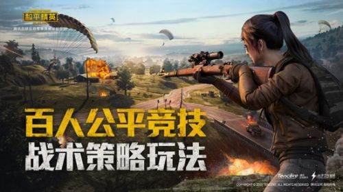 和平精英属于什么游戏