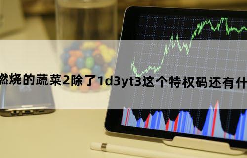 燃烧的蔬菜2除了1d3yt3这个特权码还有什么