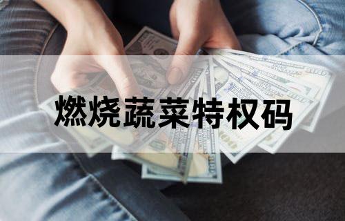 燃烧蔬菜特权码
