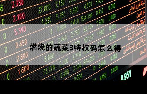 燃烧的蔬菜3特权码怎么得