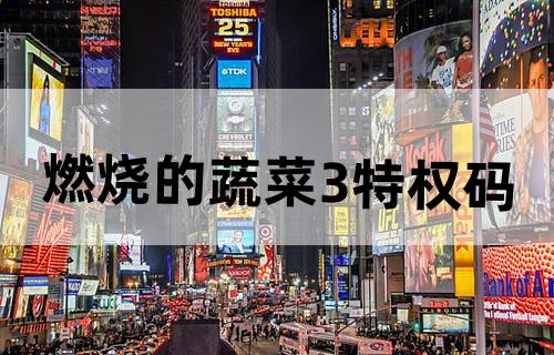 燃烧的蔬菜3特权码
