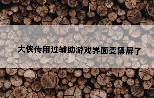 大侠传用过辅助游戏界面变黑屏了