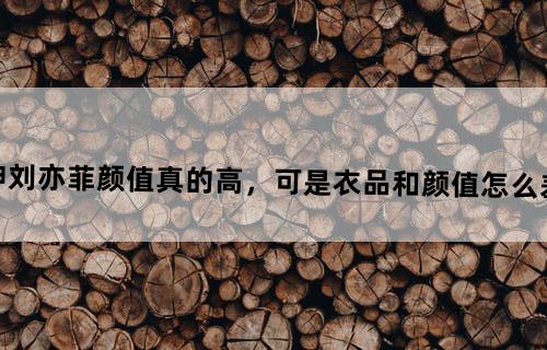 宅男女神刘亦菲颜值真的高，可是衣品和颜值怎么差距那么大！