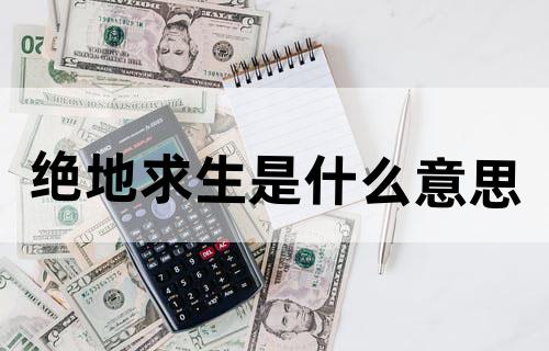 绝地求生是什么意思?
