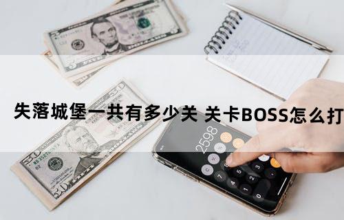 失落城堡一共有多少关 关卡BOSS怎么打