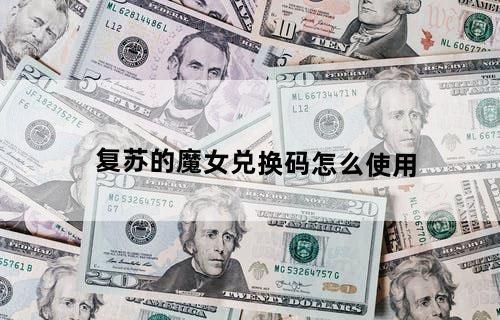 复苏的魔女兑换码怎么使用