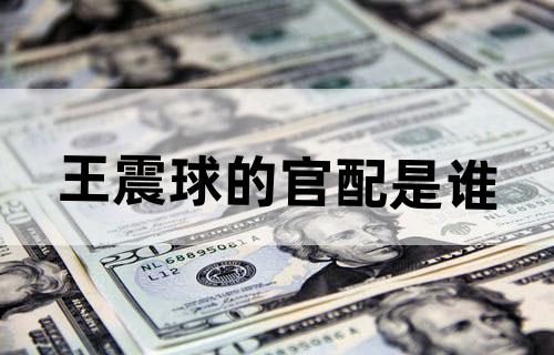 王震球的官配是谁