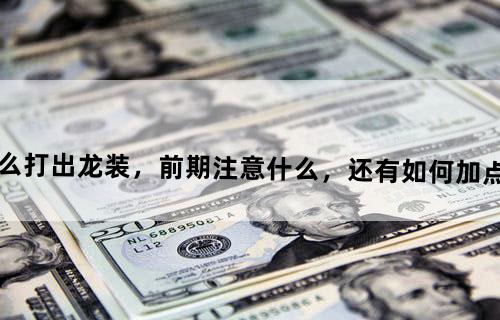 猫射手2.1.0攻略，怎么打出龙装，前期注意什么，还有如何加点好学技能等等，谢谢啦.