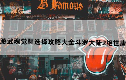 斗罗大陆2绝世唐门手游武魂觉醒选择攻略大全斗罗大陆2绝世唐门手游武魂觉醒怎么选择