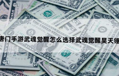 斗罗大陆2绝世唐门手游武魂觉醒怎么选择武魂觉醒昊天锤/蓝电霸王最强搭配