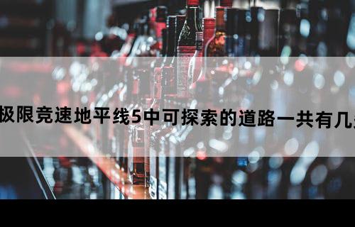 极限竞速地平线5中,可探索的道路一共有几条?