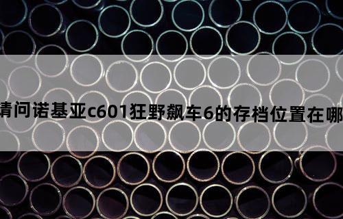 请问诺基亚c601狂野飙车6的存档位置在哪里