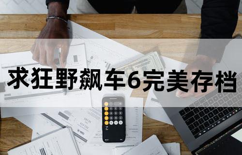 求狂野飙车6完美存档