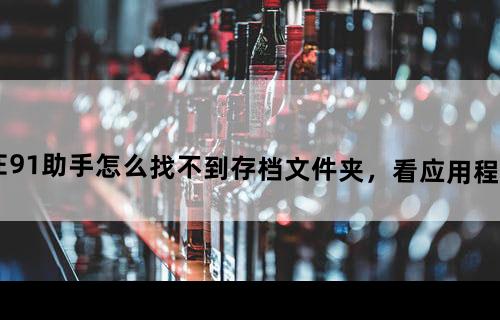 狂野飙车iphone6在91助手怎么找不到存档文件夹，看应用程序有文档，求教怎么看