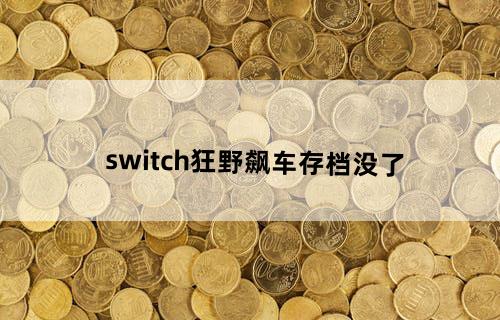 switch狂野飙车存档没了