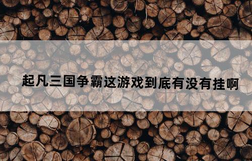 起凡三国争霸这游戏到底有没有挂啊？