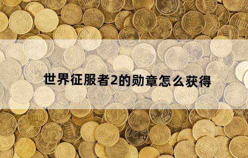 世界征服者2的勋章怎么获得