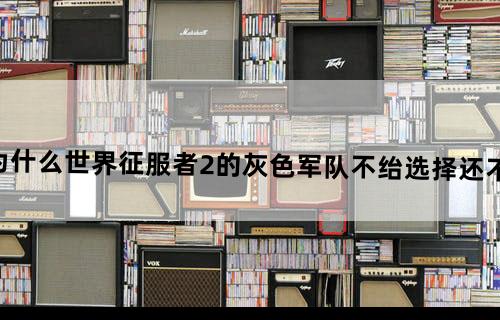 为什么世界征服者2的灰色军队不绐选择?还不动?