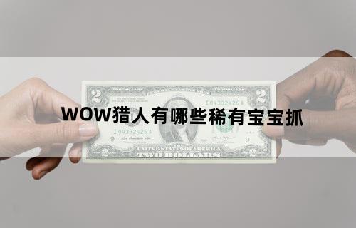 WOW猎人有哪些稀有宝宝抓
