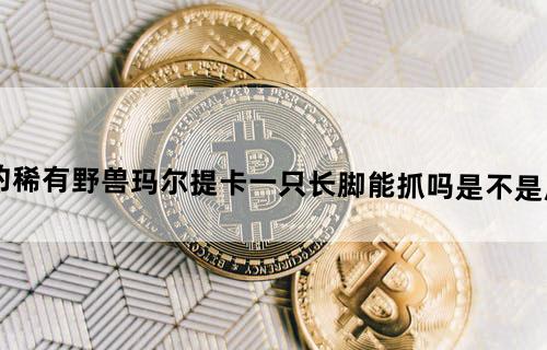 魔兽世界，外域的稀有野兽玛尔提卡（一只长脚）能抓吗？是不是所有野兽猎人都能抓？
