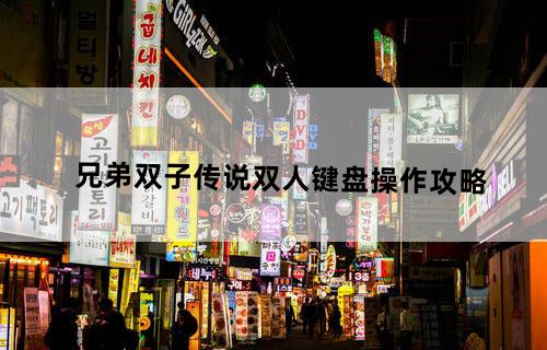 《兄弟：双子传说》双人键盘操作攻略