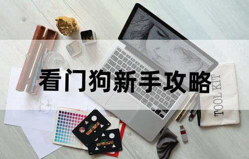 看门狗新手攻略
