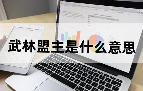 武林盟主是什么意思?