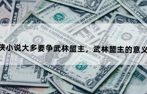 武侠小说大多要争武林盟主，武林盟主的意义何在？