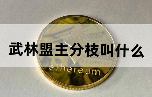 武林盟主分枝叫什么？