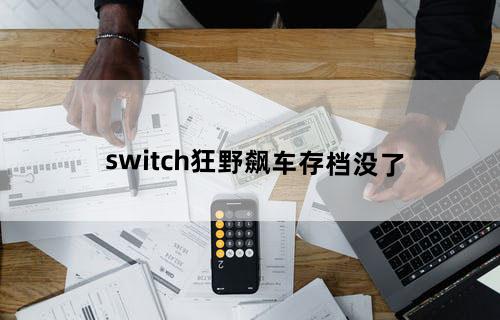 switch狂野飙车存档没了