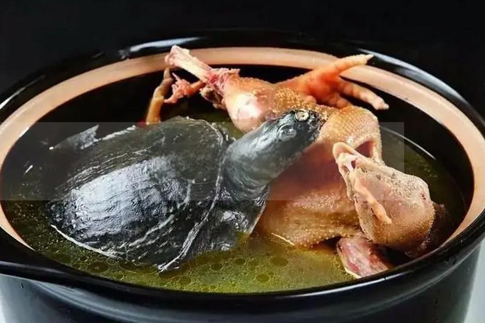 霸王别姬是什么菜 霸王别姬是什么菜系的代表菜