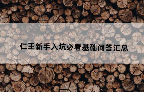 《仁王》新手入坑必看基础问答汇总
