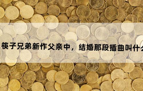 筷子兄弟新作《父亲》中，结婚那段插曲叫什么？