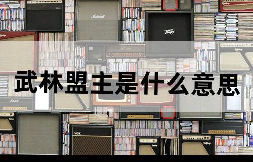 武林盟主是什么意思?