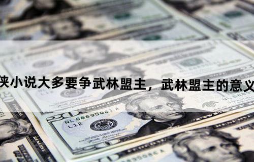 武侠小说大多要争武林盟主，武林盟主的意义何在？