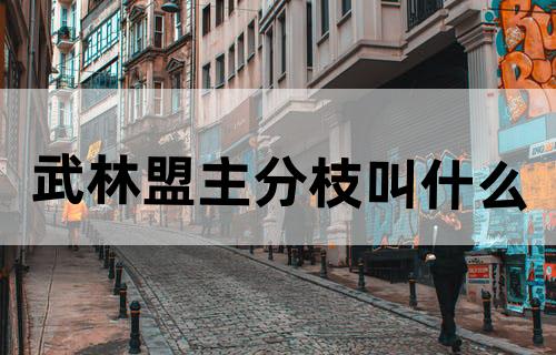 武林盟主分枝叫什么？
