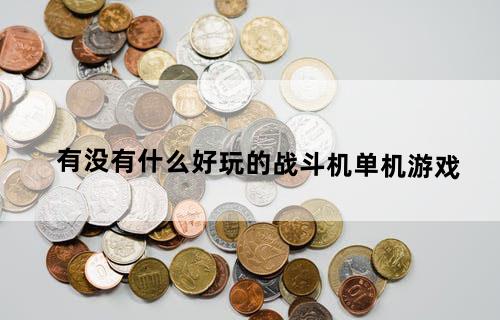 有没有什么好玩的战斗机单机游戏？
