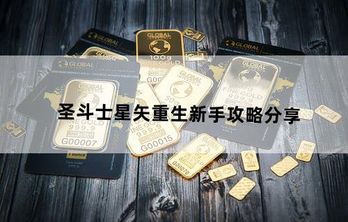 圣斗士星矢重生新手攻略分享
