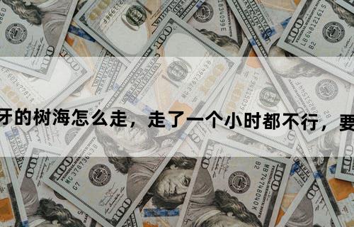 闪电十一人3王牙的树海怎么走，走了一个小时都不行，要有做法，最好有图