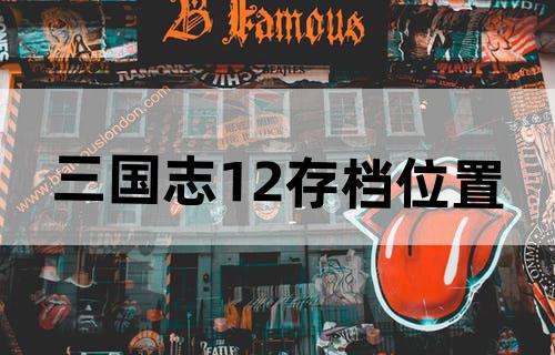 三国志12存档位置
