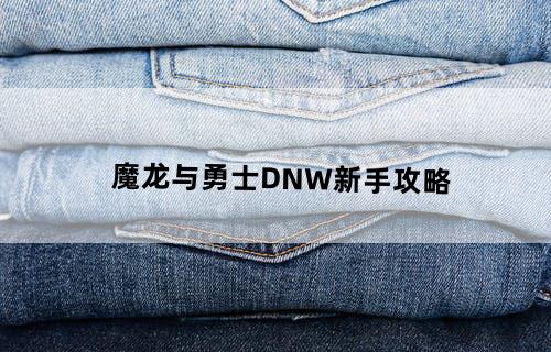 《魔龙与勇士》DNW新手攻略