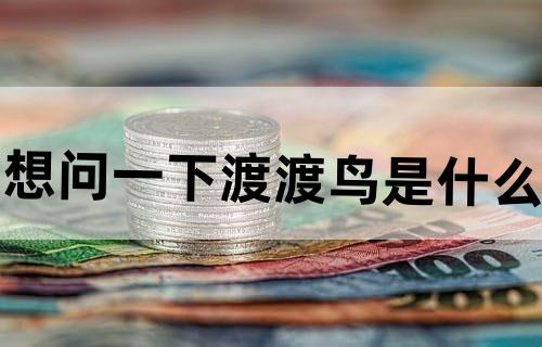 想问一下渡渡鸟是什么?