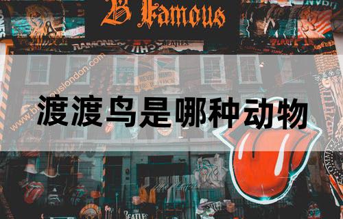 渡渡鸟是哪种动物
