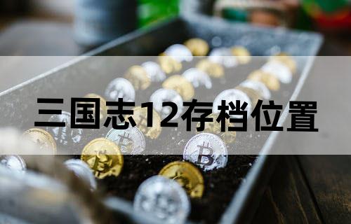 三国志12存档位置