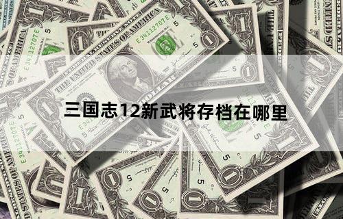三国志12新武将存档在哪里